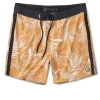 Peak Boardshort